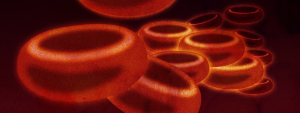 Bloodborne Pathogens